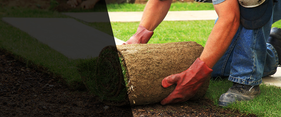 Comanche Landscapers